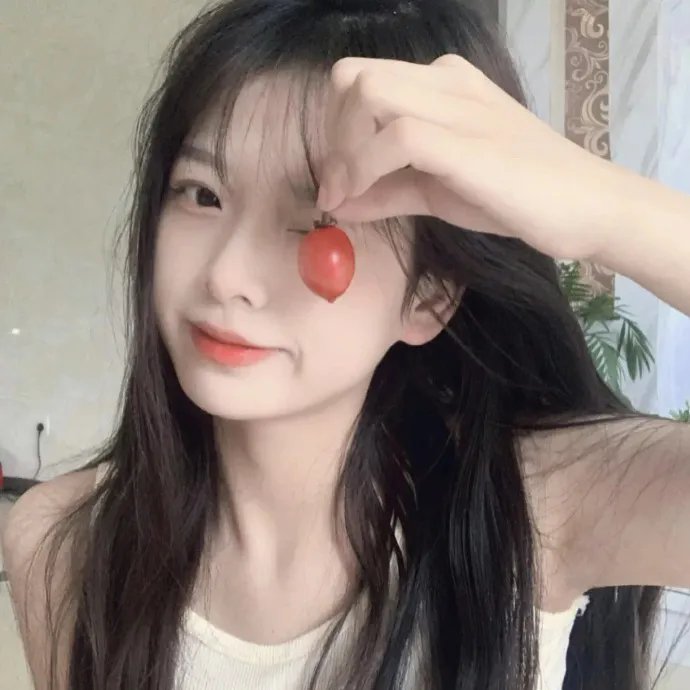 轻微盗窃案